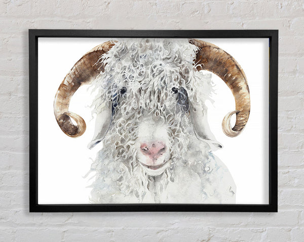 Sheep Beauty Framed Print