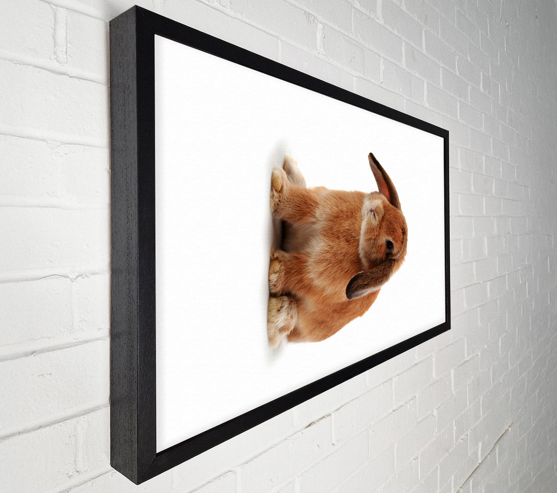 A Canvas Print of Bunny Sad Ears Canvas Art