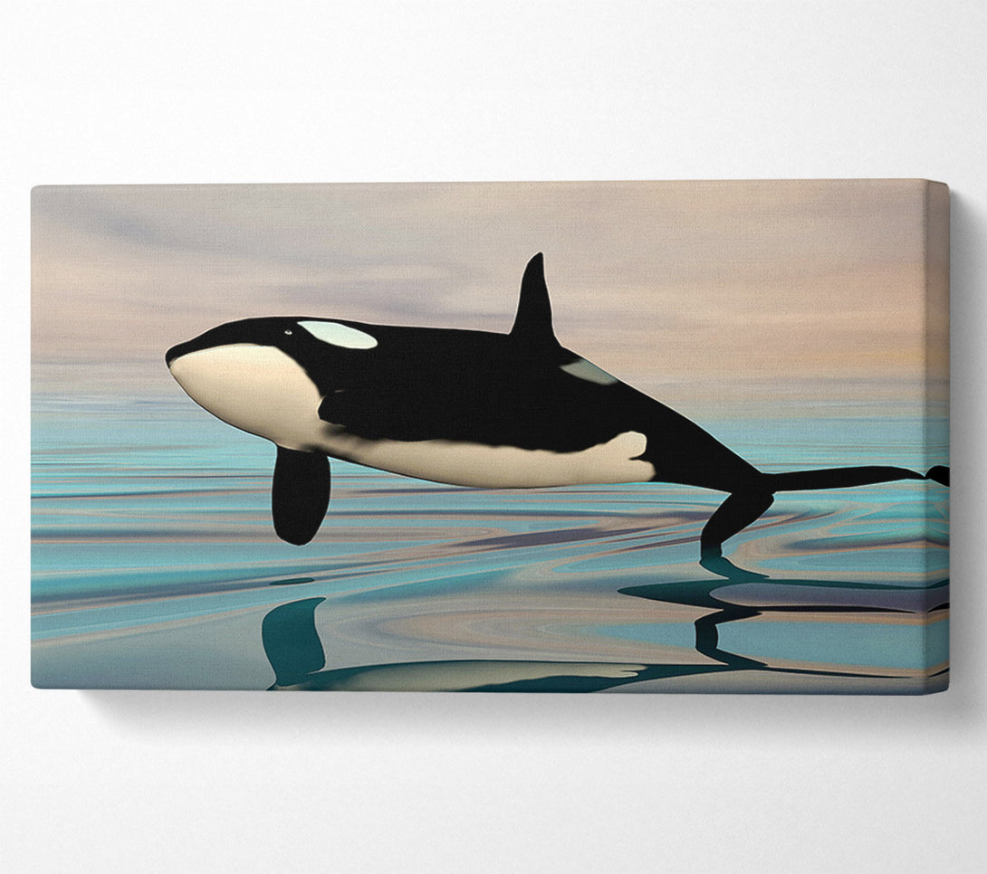 A Canvas Print of Killer Whale Jump Canvas Art