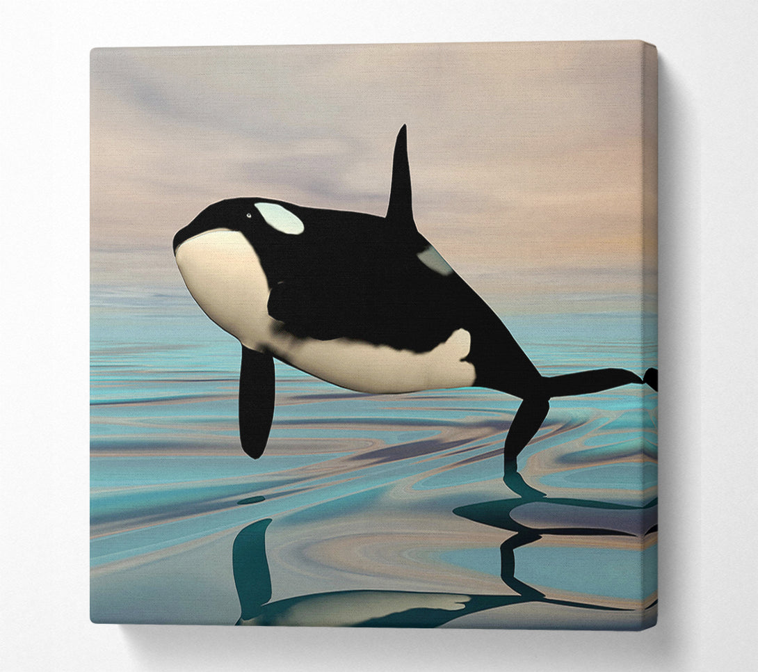  A Canvas Print of Killer Whale Jump Canvas Art