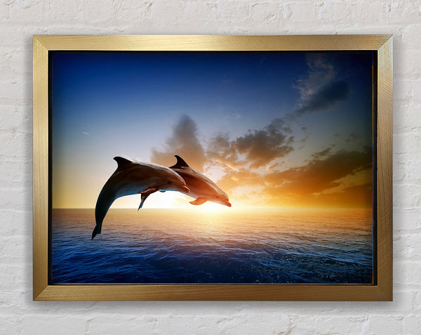 Jumping Sunset Dolphins Framed Print