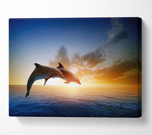  A Canvas Print of Jumping Sunset Dolphins Canvas Art