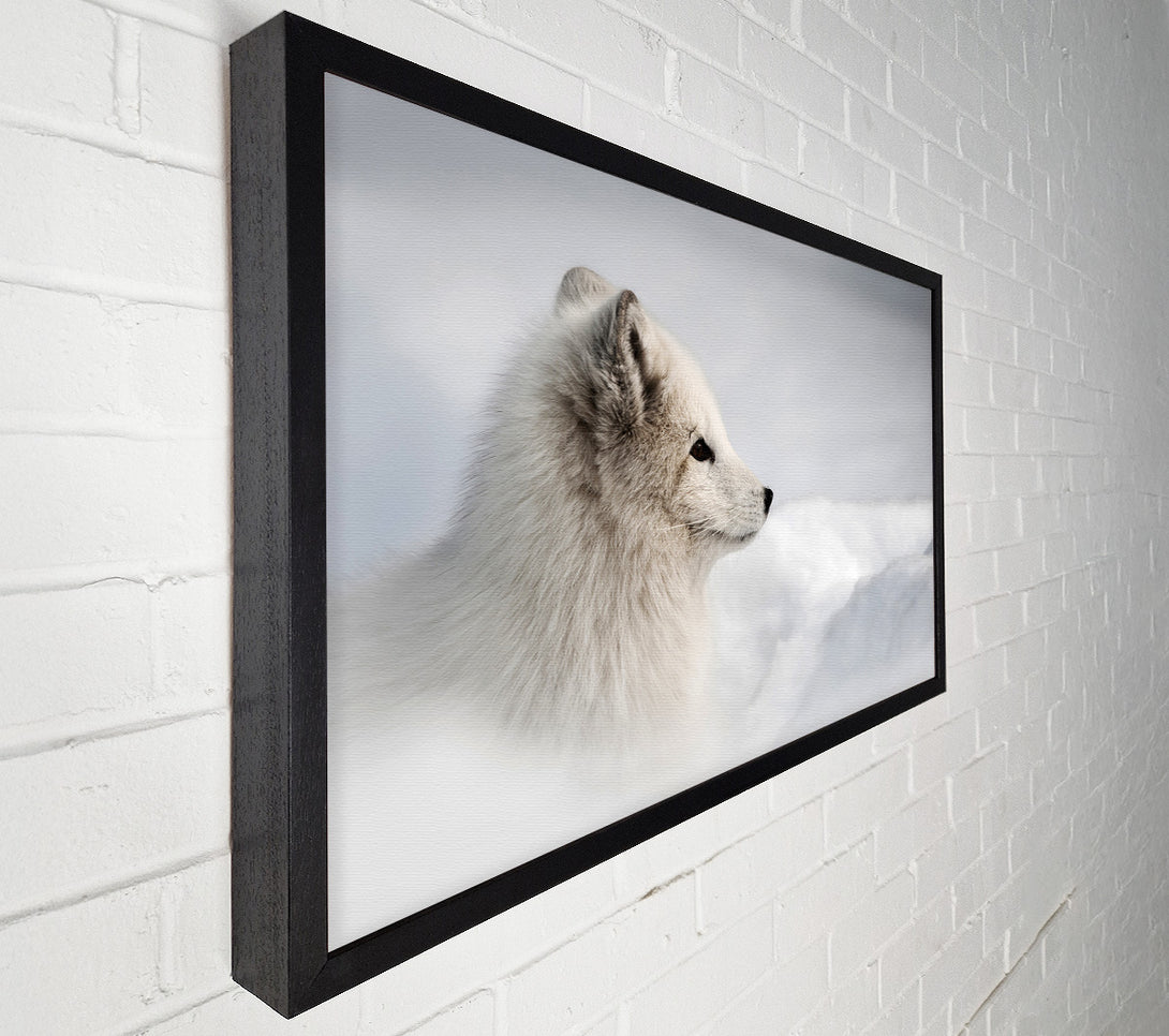  A Canvas Print of Snow Wonder Fox Canvas Wall Art