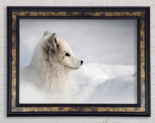 Snow Wonder Fox Framed Print