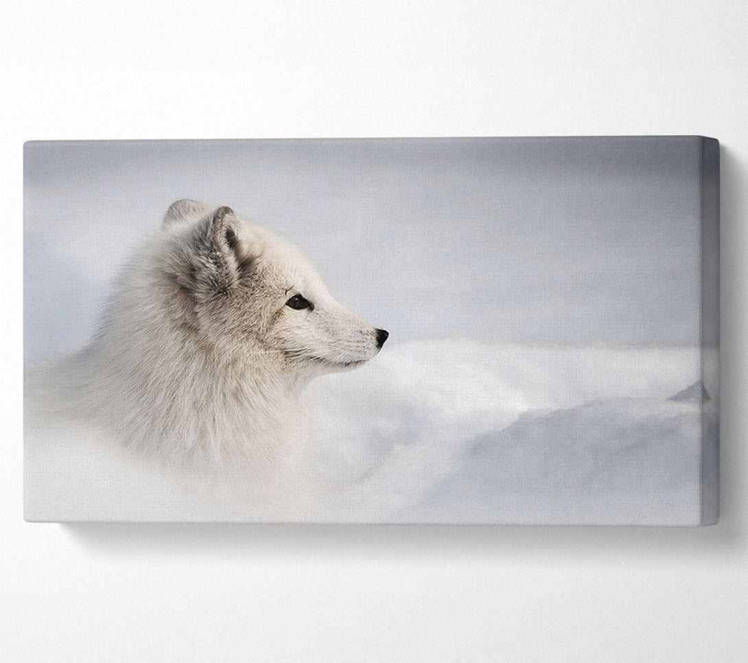  A Canvas Print of Snow Wonder Fox Canvas Wall Art