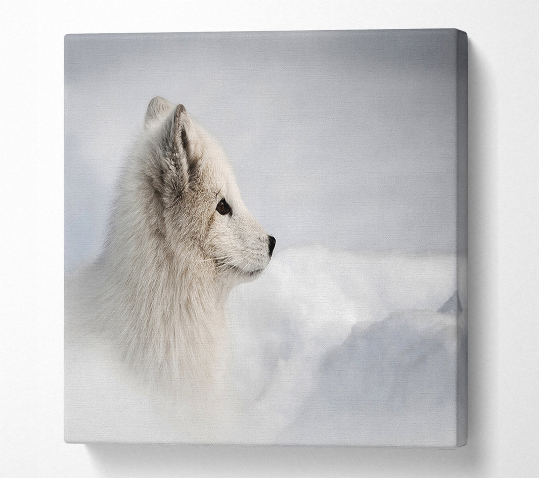  A Canvas Print of Snow Wonder Fox Canvas Wall Art