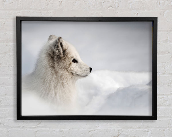 Snow Wonder Fox Framed Print