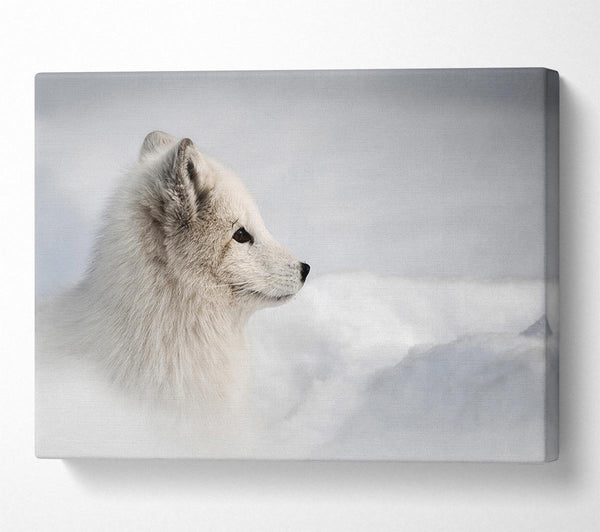  A Canvas Print of Snow Wonder Fox Canvas Wall Art