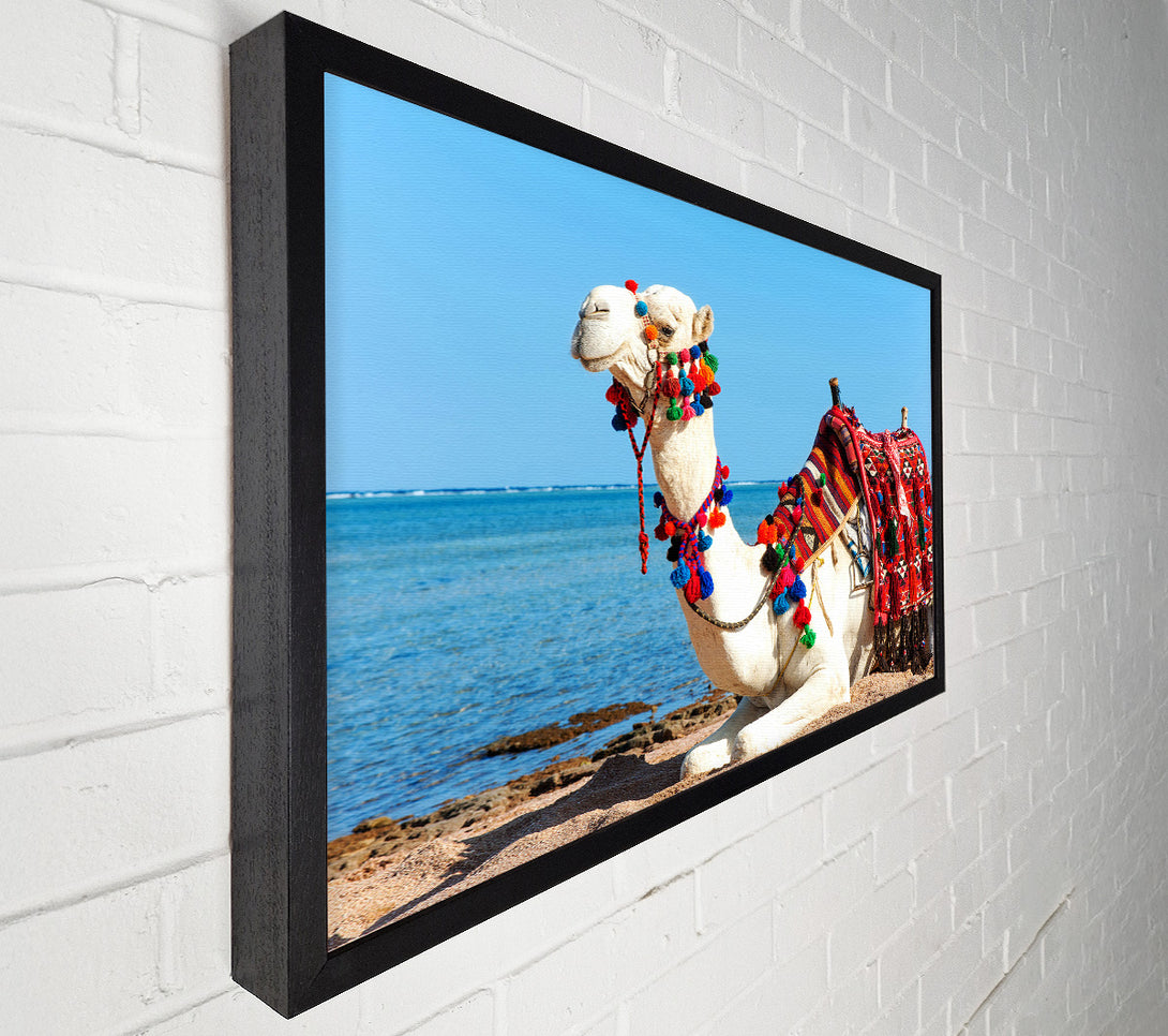  A Canvas Print of Camel Ride Canvas Art