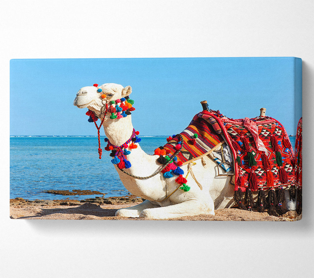  A Canvas Print of Camel Ride Canvas Art