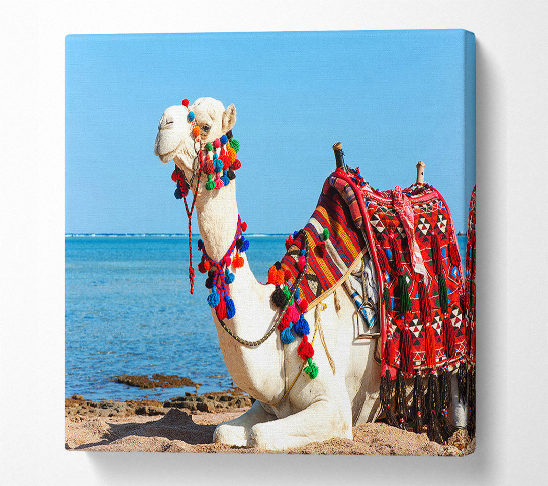 A Canvas Print of Camel Ride Canvas Art