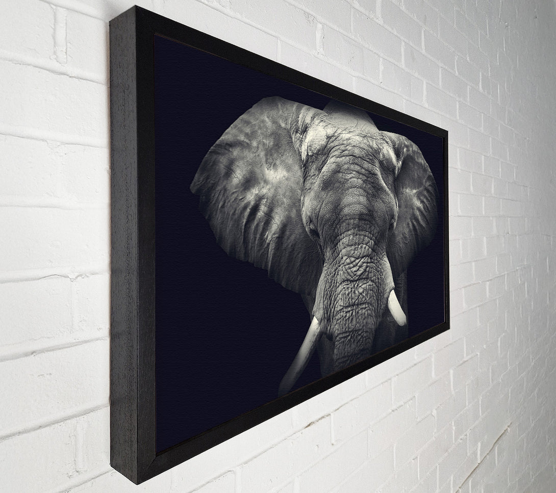  A Canvas Print of Majestical Elephant Canvas Art