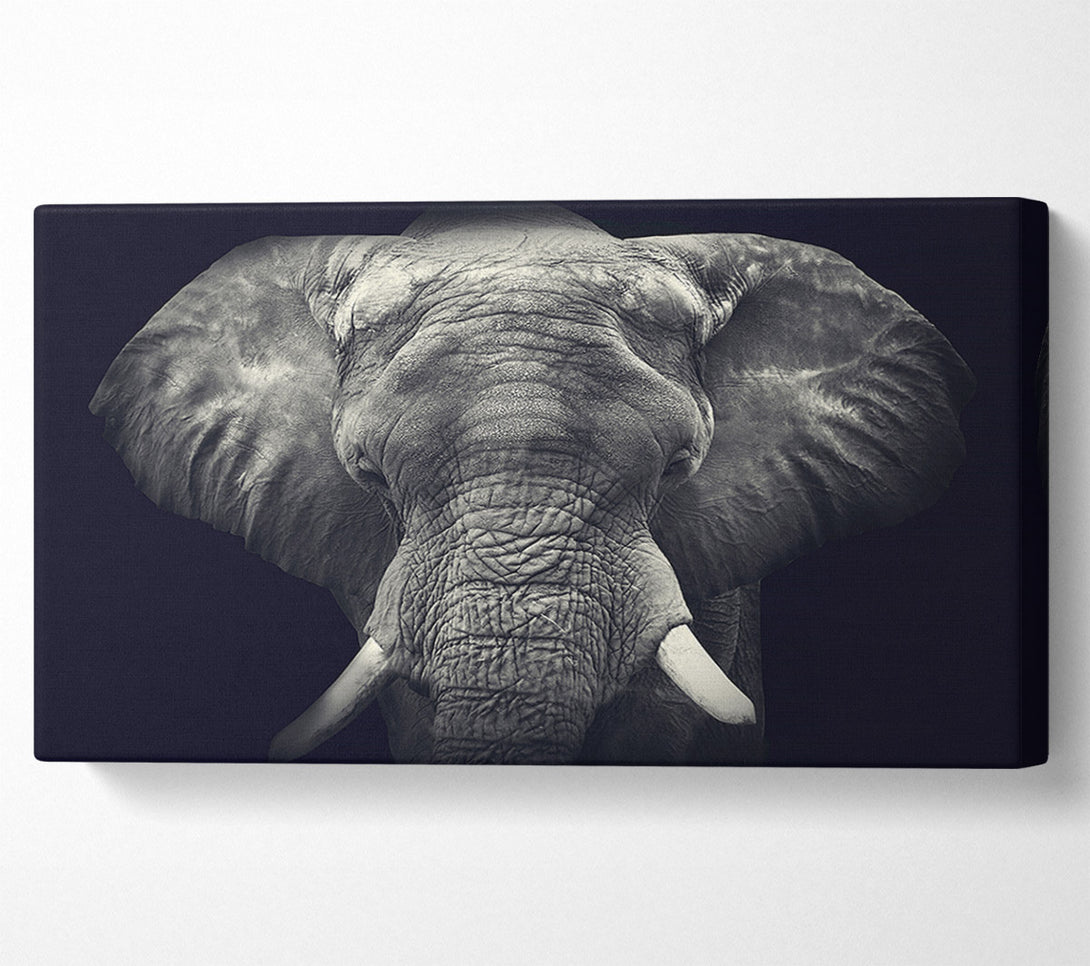  A Canvas Print of Majestical Elephant Canvas Art
