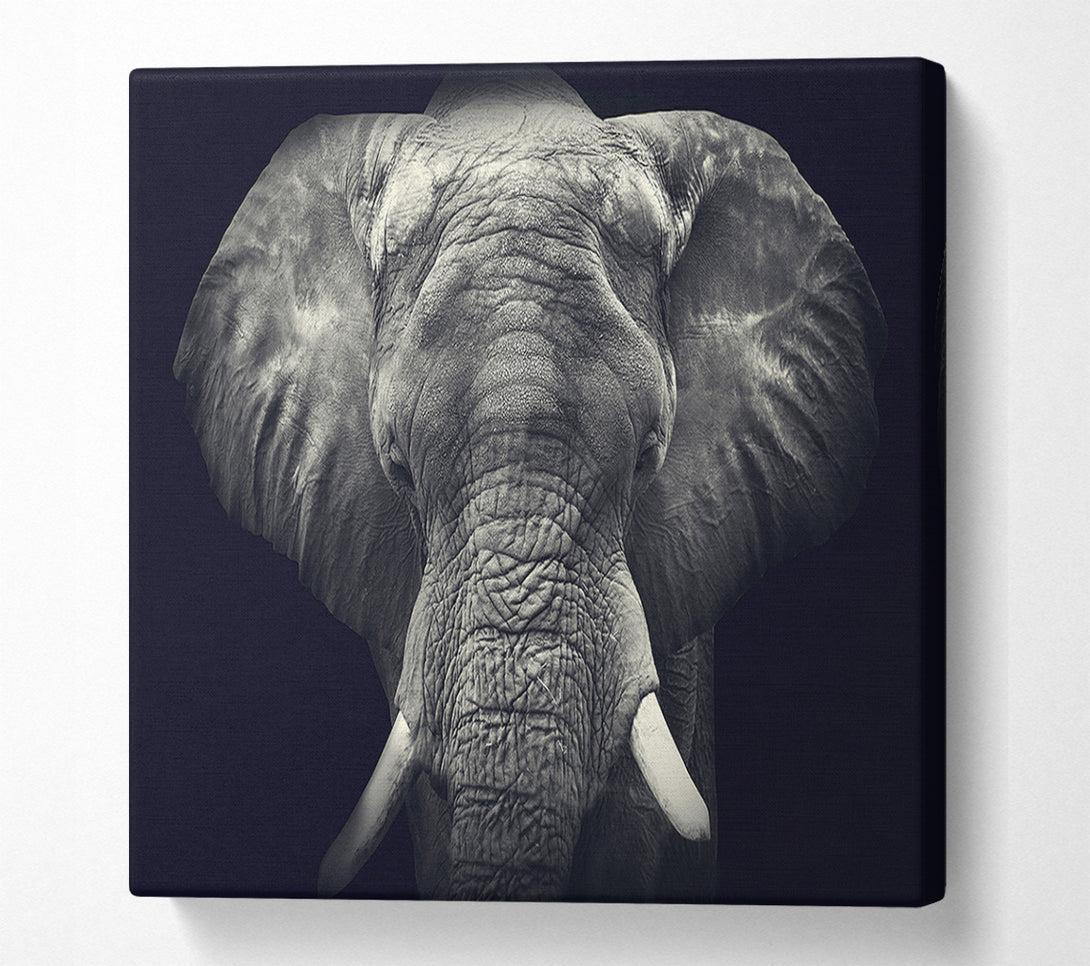  A Canvas Print of Majestical Elephant Canvas Art