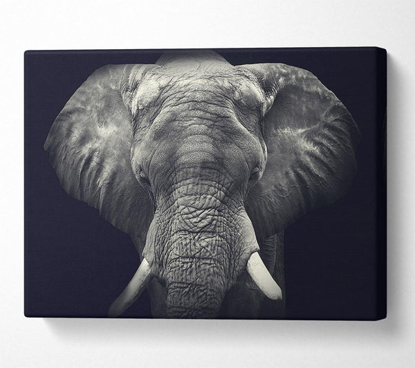  A Canvas Print of Majestical Elephant Canvas Art