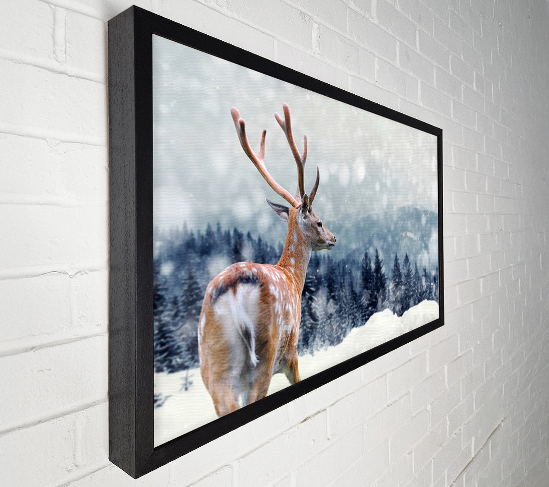  A Canvas Print of Winter Deer Canvas Print
