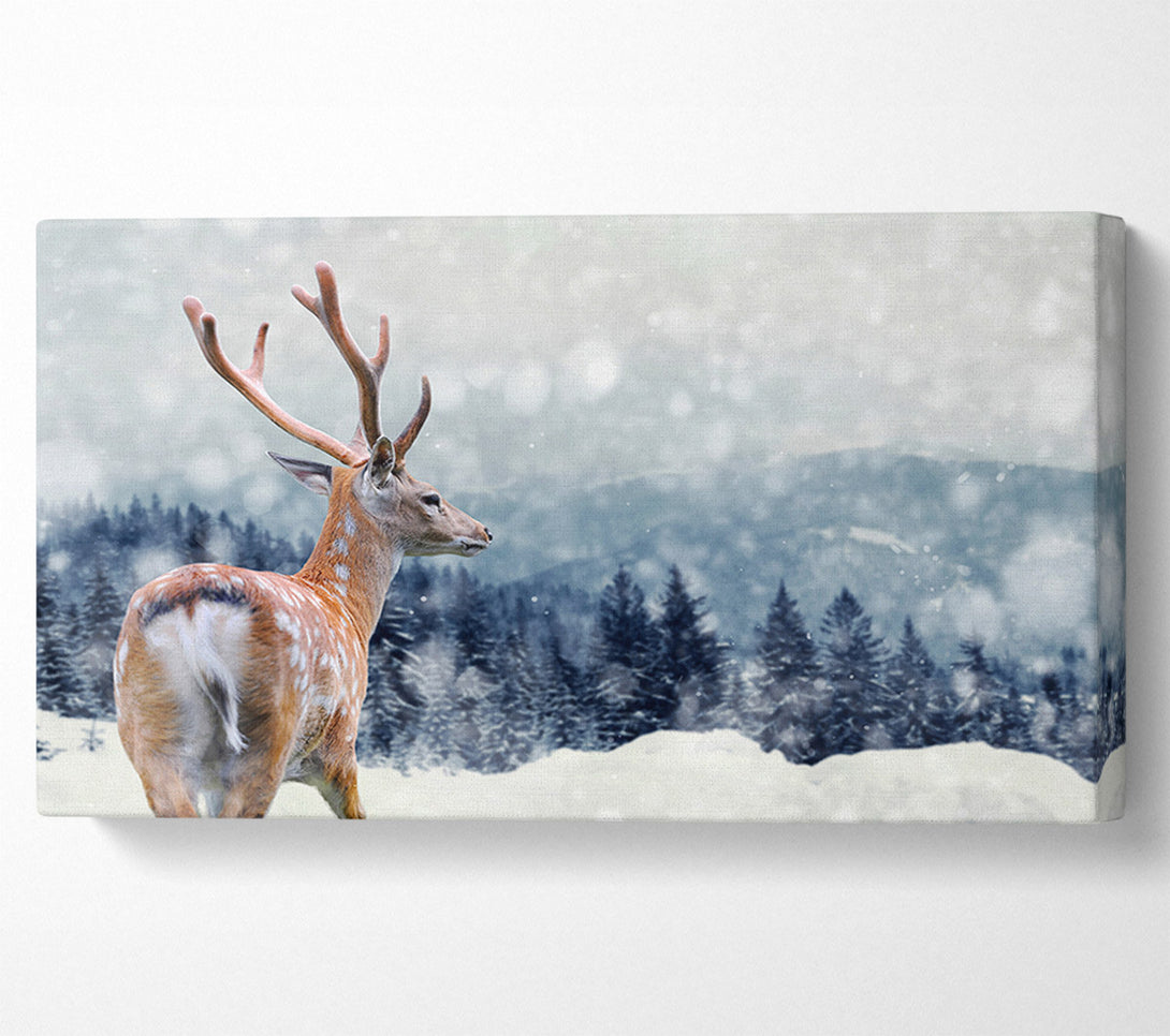  A Canvas Print of Winter Deer Canvas Print