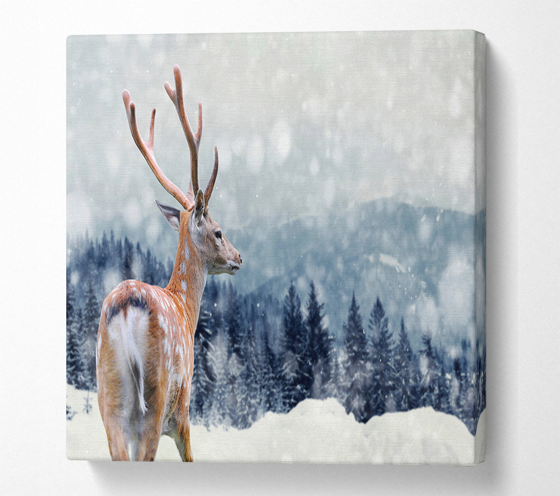  A Canvas Print of Winter Deer Canvas Print