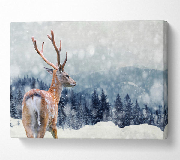  A Canvas Print of Winter Deer Canvas Print
