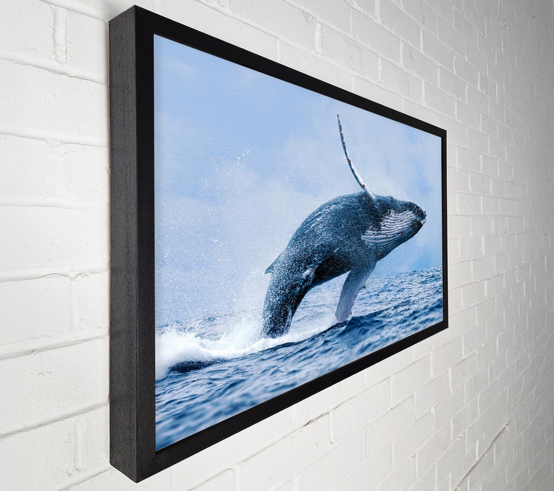  A Canvas Print of Whale Jump Canvas Wall Art