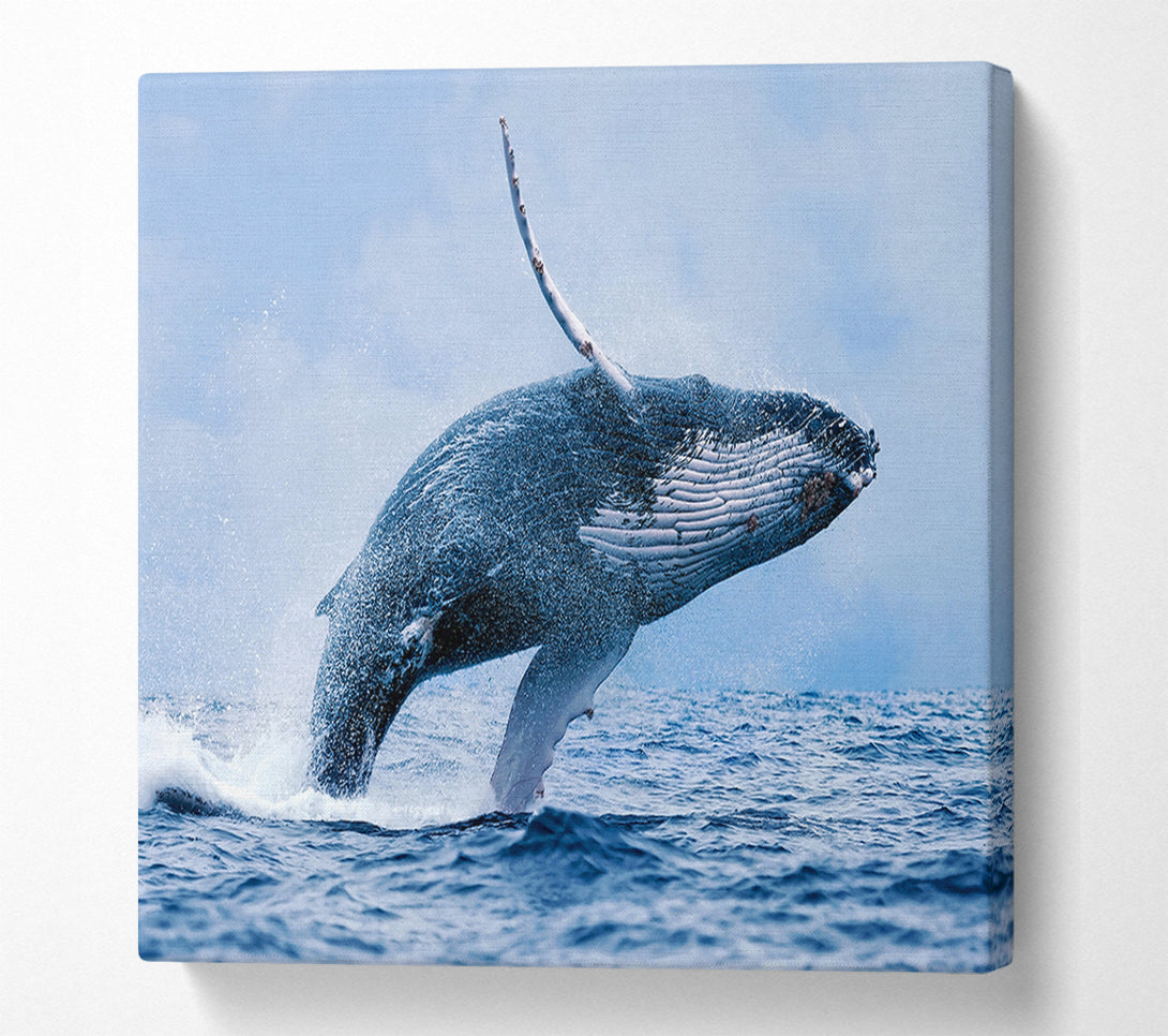  A Canvas Print of Whale Jump Canvas Wall Art