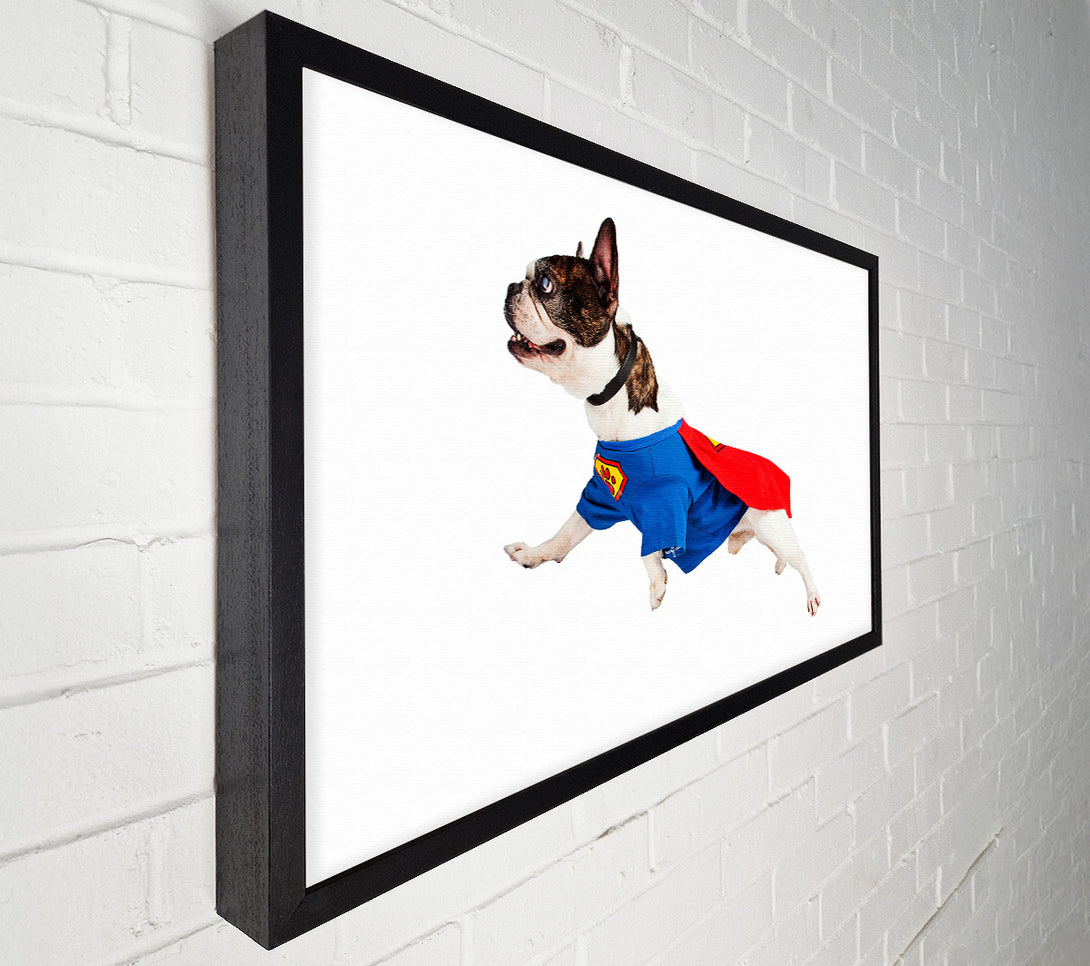  A Canvas Print of Super Dog Canvas Art