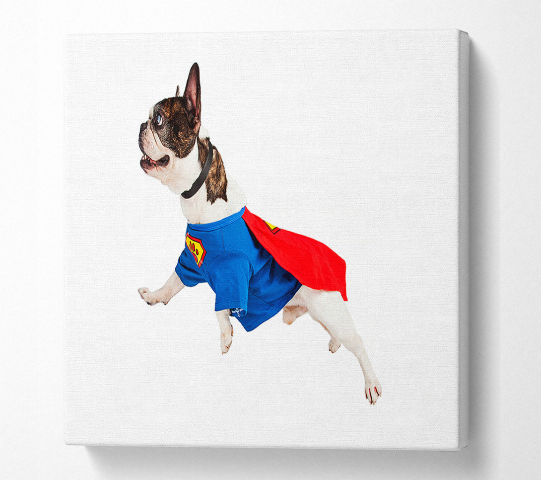  A Canvas Print of Super Dog Canvas Art