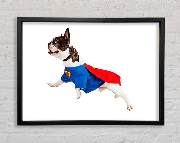 Super Dog Framed Print