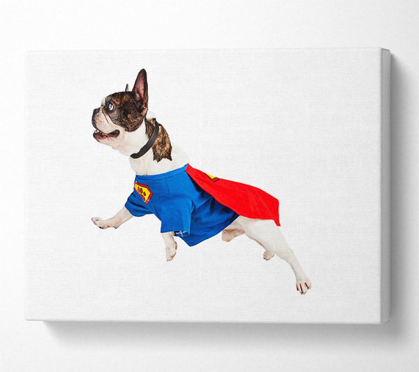  A Canvas Print of Super Dog Canvas Art