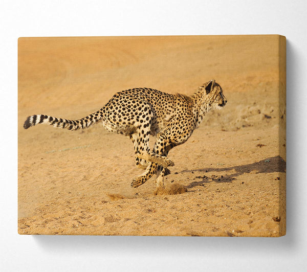  A Canvas Print of Cheetah Chase Canvas Wall Art