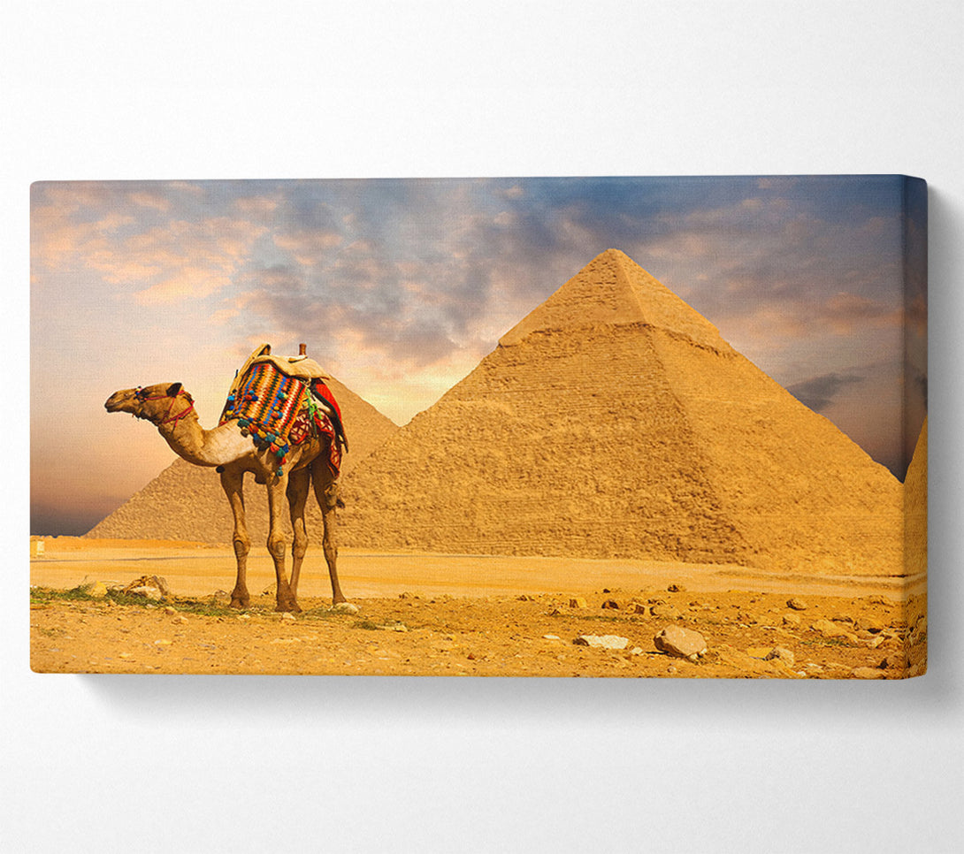  A Canvas Print of Camel Pyramids Canvas Print