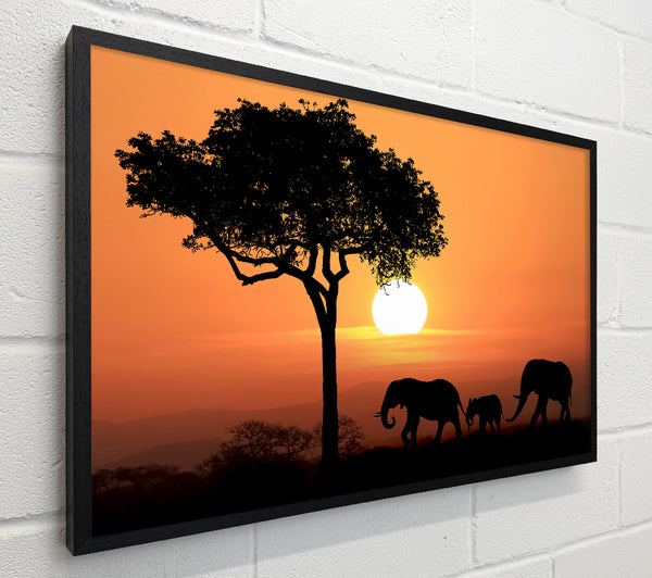 Elephant Safari Sunset