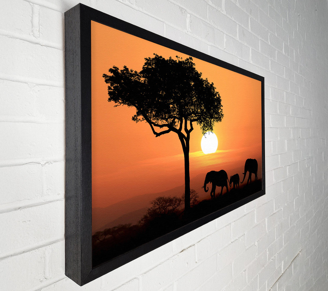  A Canvas Print of Elephant Safari Sunset Canvas Print