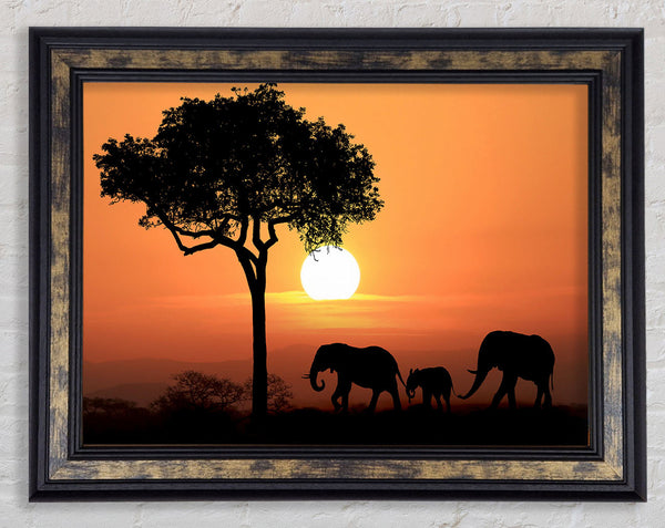 Elephant Safari Sunset Framed Print