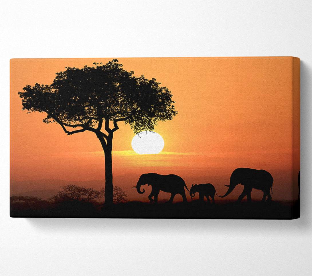  A Canvas Print of Elephant Safari Sunset Canvas Print