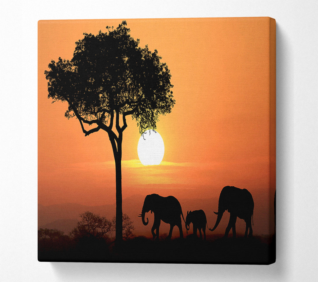  A Canvas Print of Elephant Safari Sunset Canvas Print