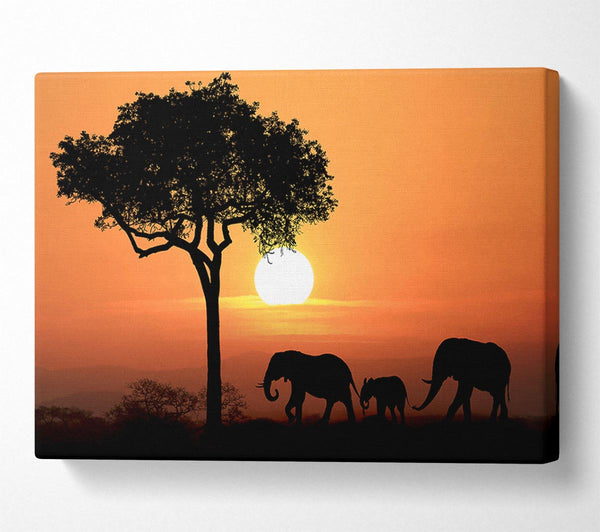  A Canvas Print of Elephant Safari Sunset Canvas Print
