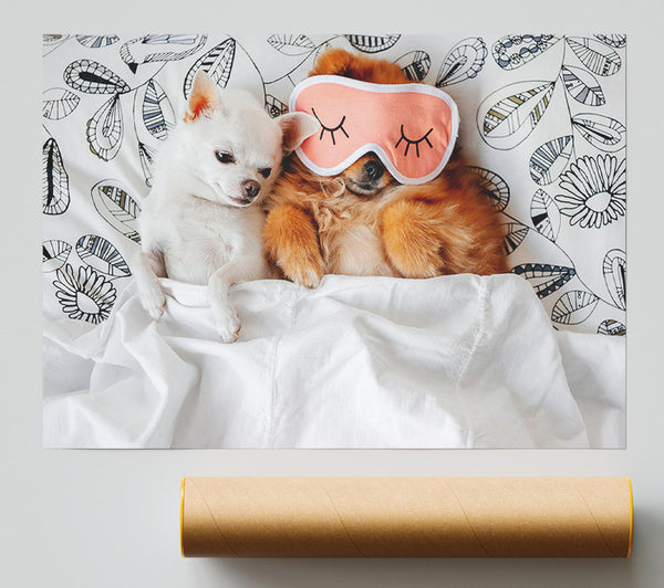 Chihuahua Bedtime Dog Love Print