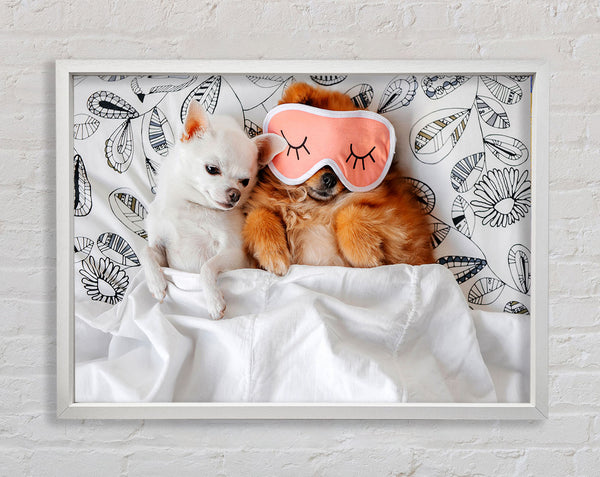 Chihuahua Bedtime Dog Love Framed Print