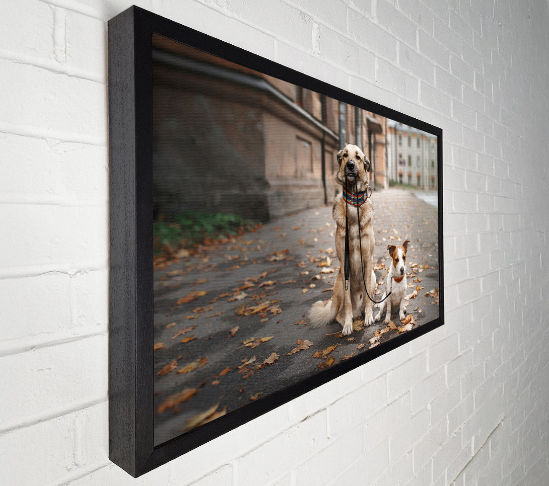  A Canvas Print of Dog Walking Dog Canvas Wall Art