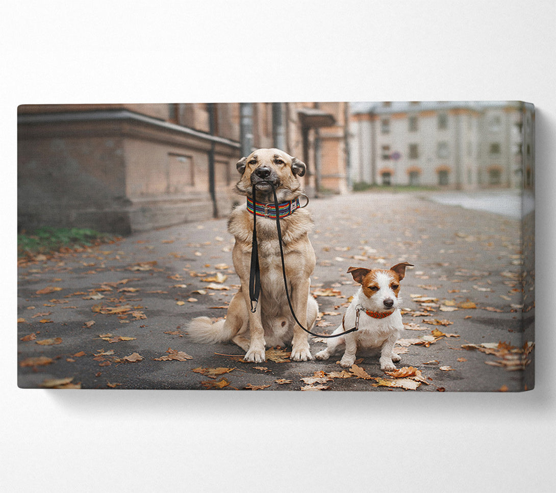  A Canvas Print of Dog Walking Dog Canvas Wall Art