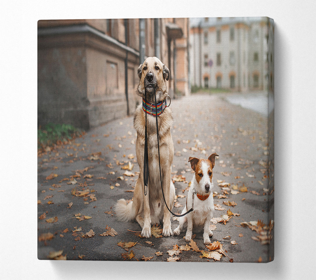  A Canvas Print of Dog Walking Dog Canvas Wall Art