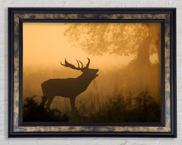 Deer Call Framed Print