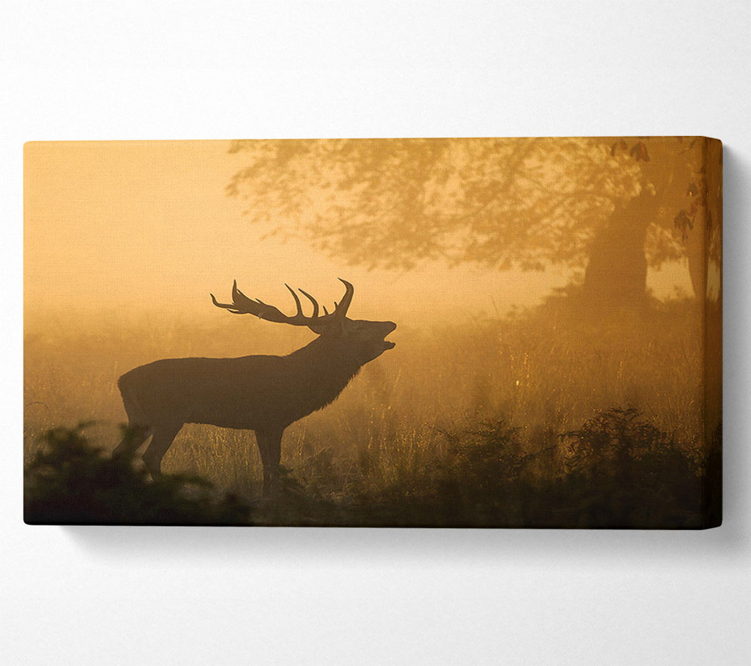  A Canvas Print of Deer Call Canvas Print