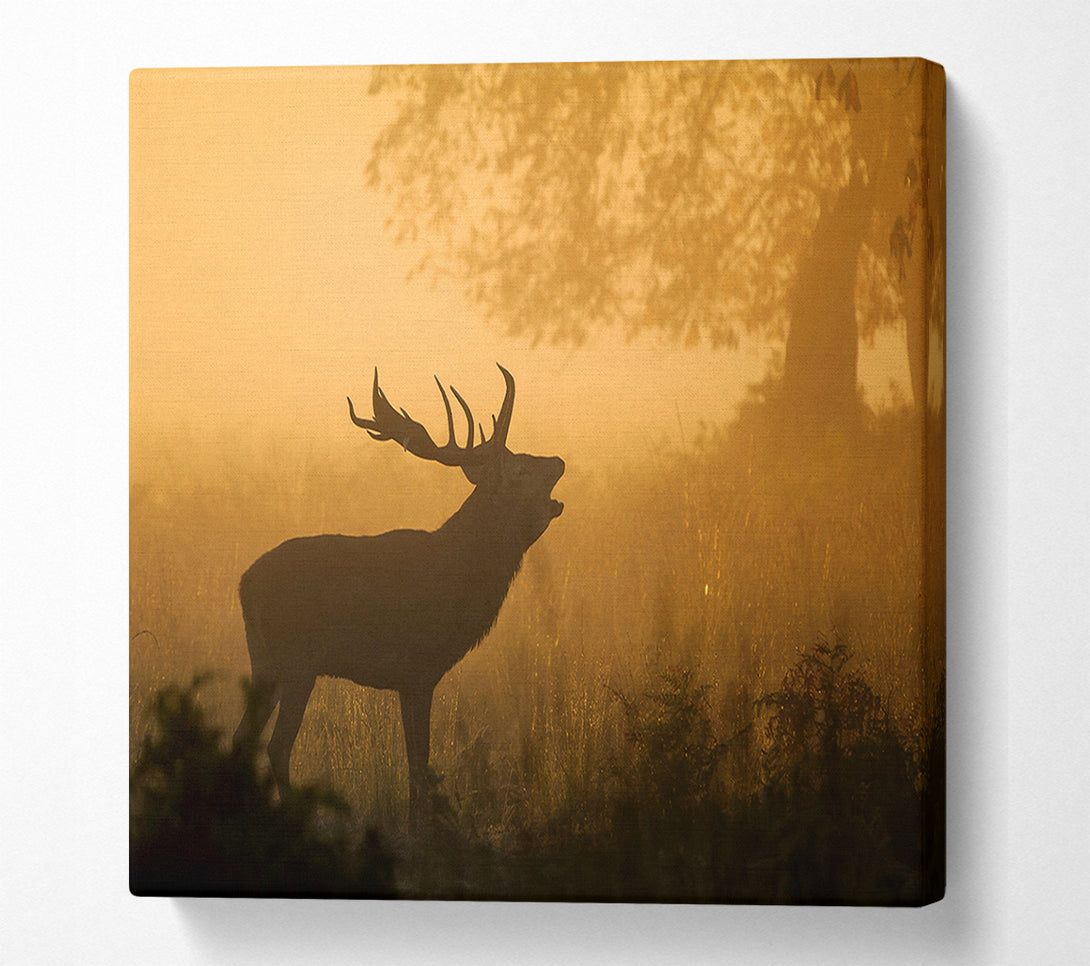  A Canvas Print of Deer Call Canvas Print