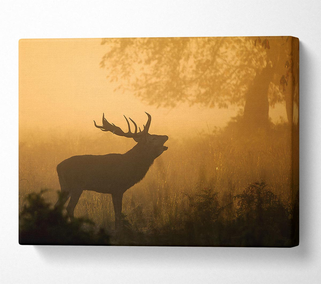  A Canvas Print of Deer Call Canvas Print