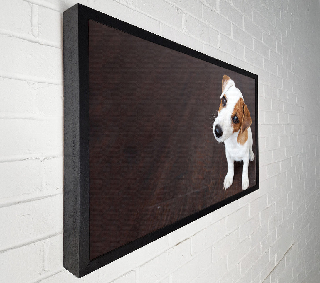 A Canvas Print of Inquisitive Dog Jack Russell Pup Canvas Art