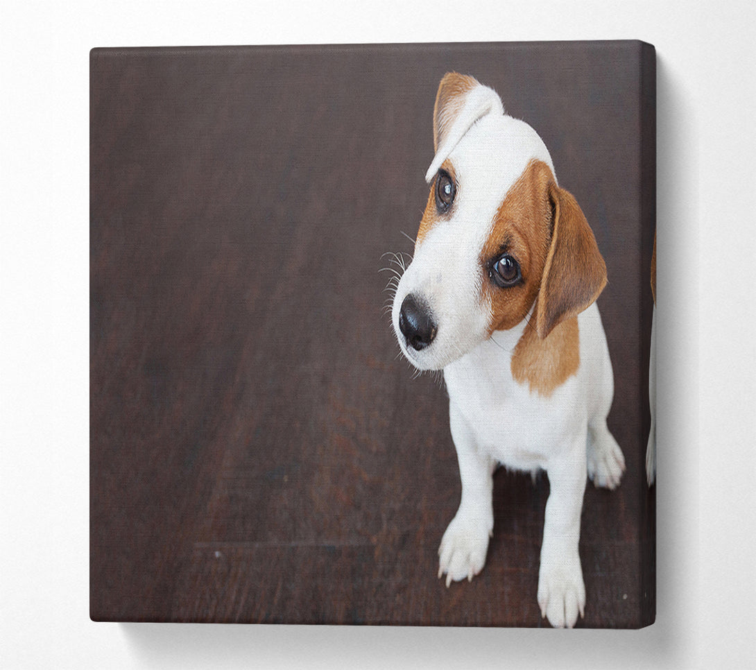  A Canvas Print of Inquisitive Dog Jack Russell Pup Canvas Art