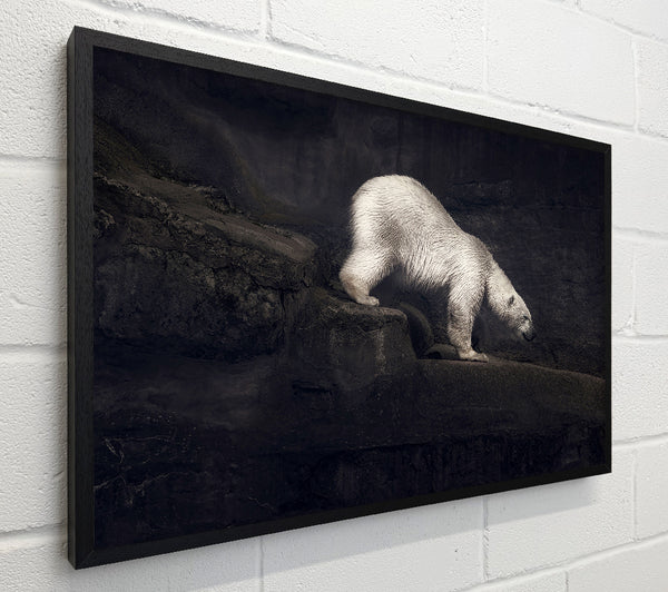 Polar Bear Hunt