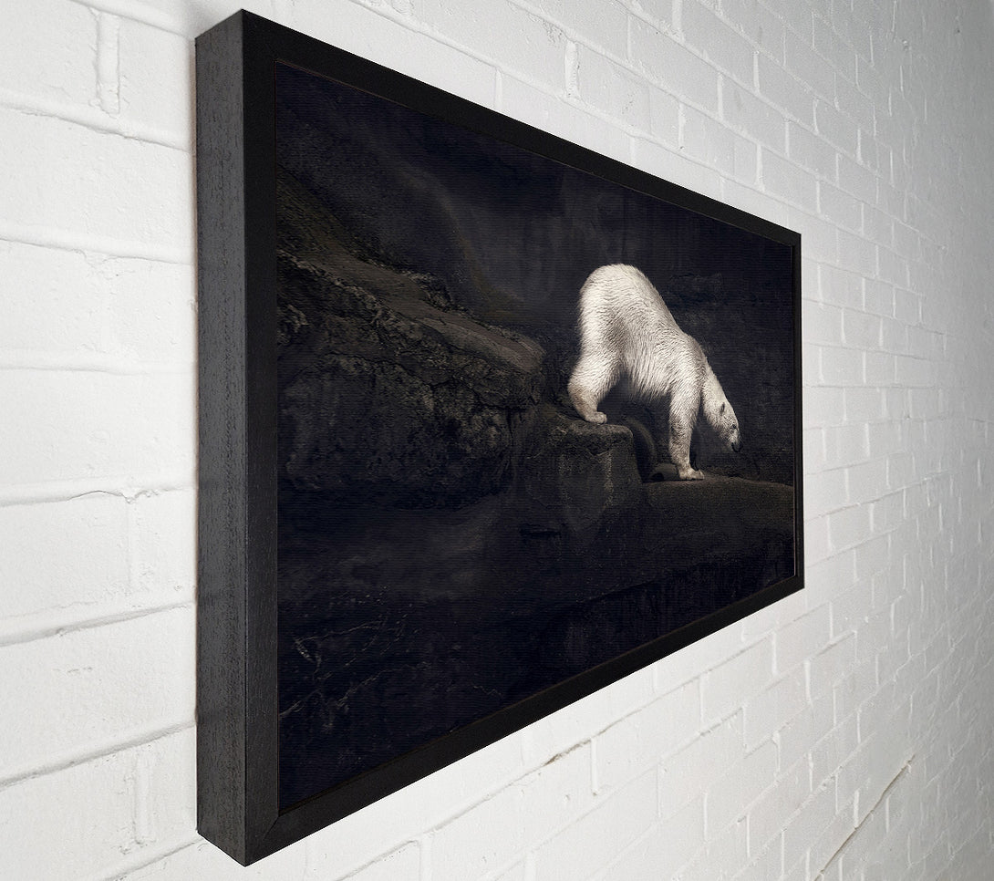  A Canvas Print of Polar Bear Hunt Canvas Wall Art